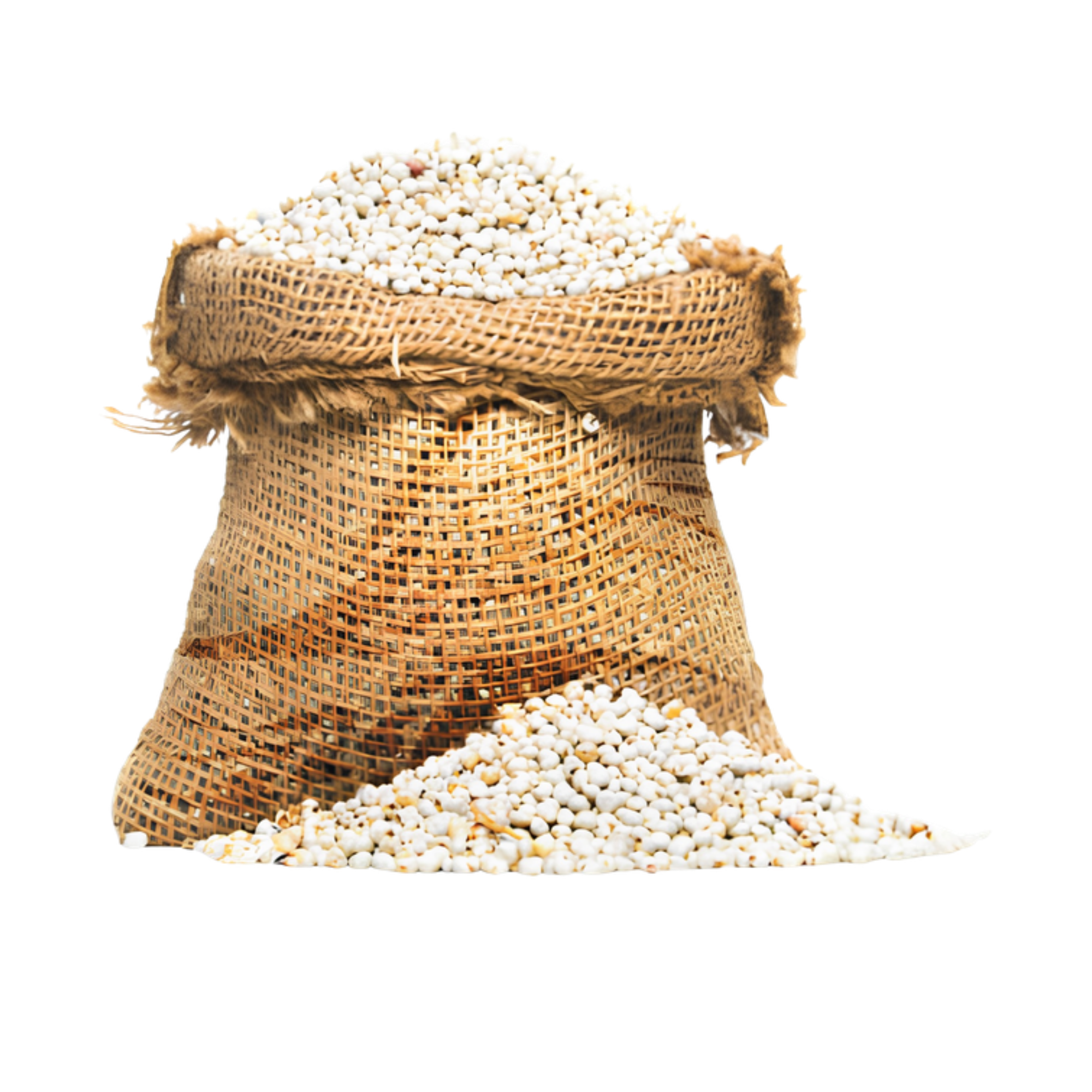 الذرة البيضاء السودانية