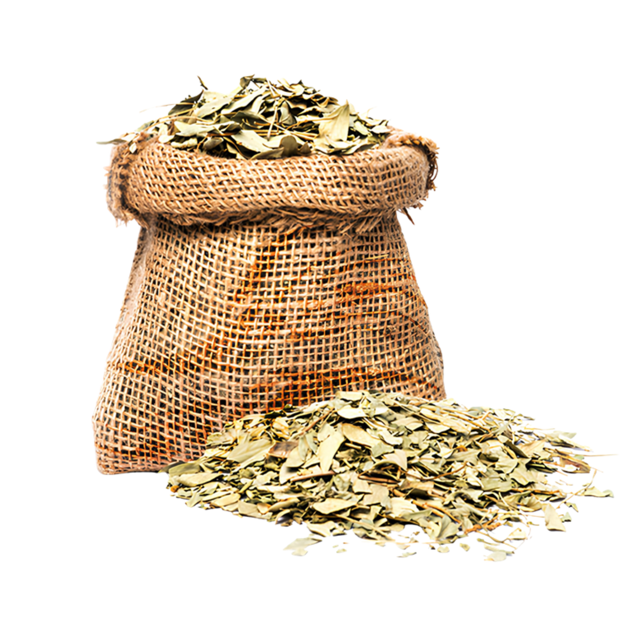 أوراق السنامكي الطبيعية